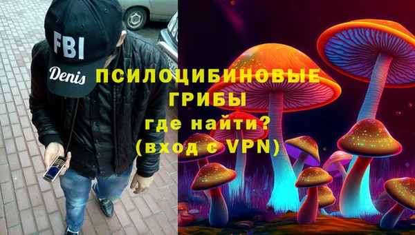 соль ск Балахна