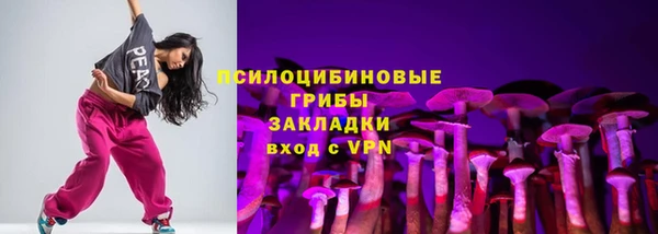 стаф Баксан