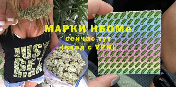 соль ск Балахна